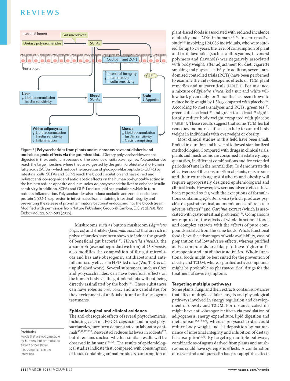 楊定一博士 研究團隊榮獲 Nature Reviews Endocrinology 當期封面主題報導