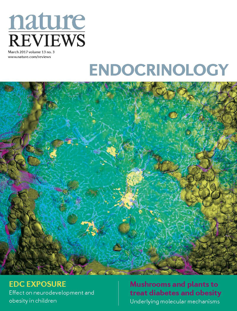 楊定一博士 研究團隊榮獲 Nature Reviews Endocrinology 當期封面主題報導