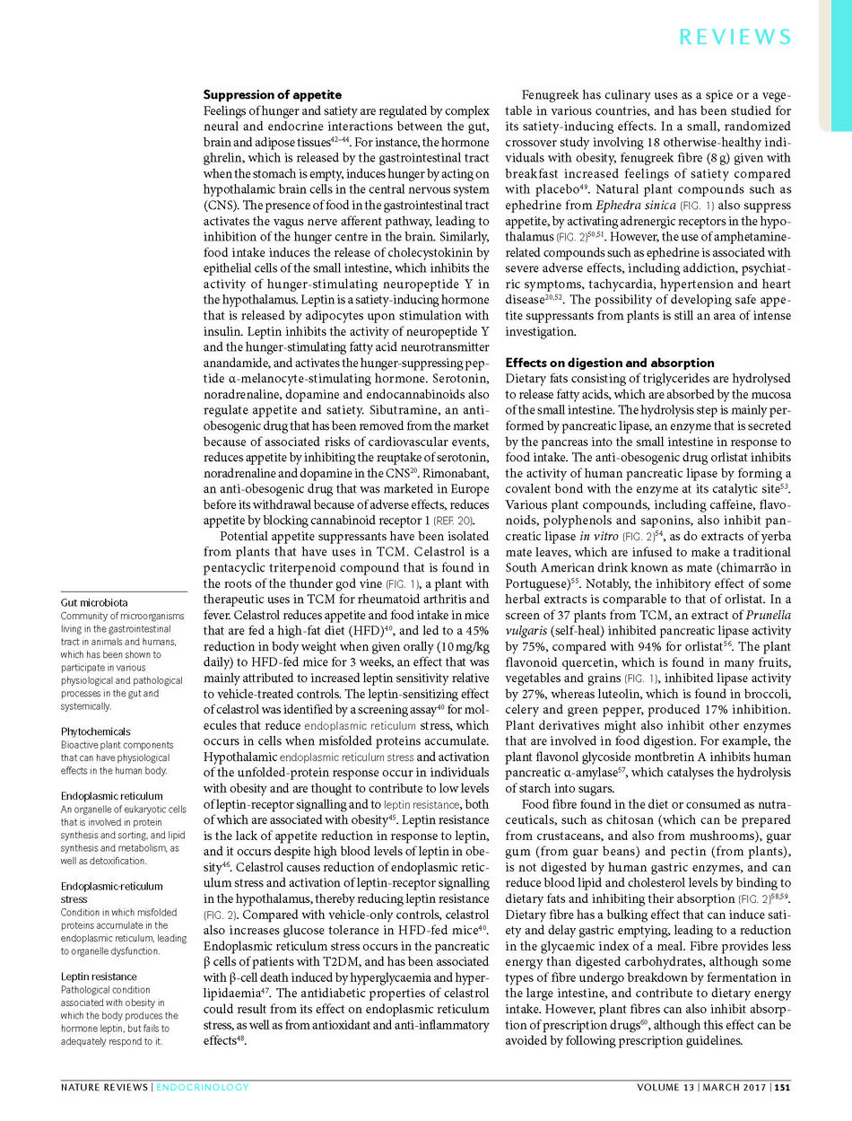 楊定一博士 研究團隊榮獲 Nature Reviews Endocrinology 當期封面主題報導