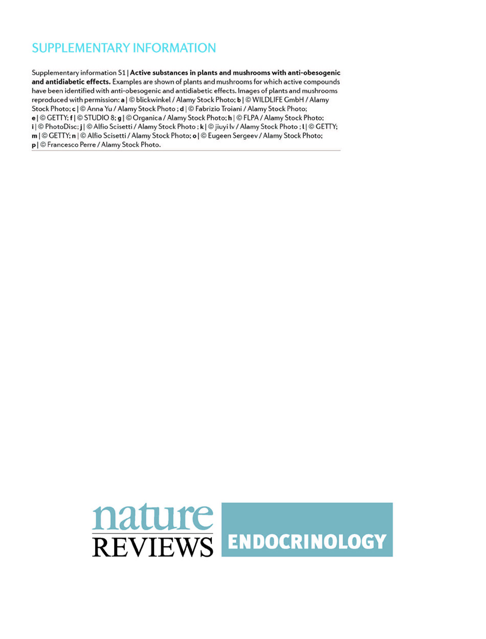 楊定一博士 研究團隊榮獲 Nature Reviews Endocrinology 當期封面主題報導